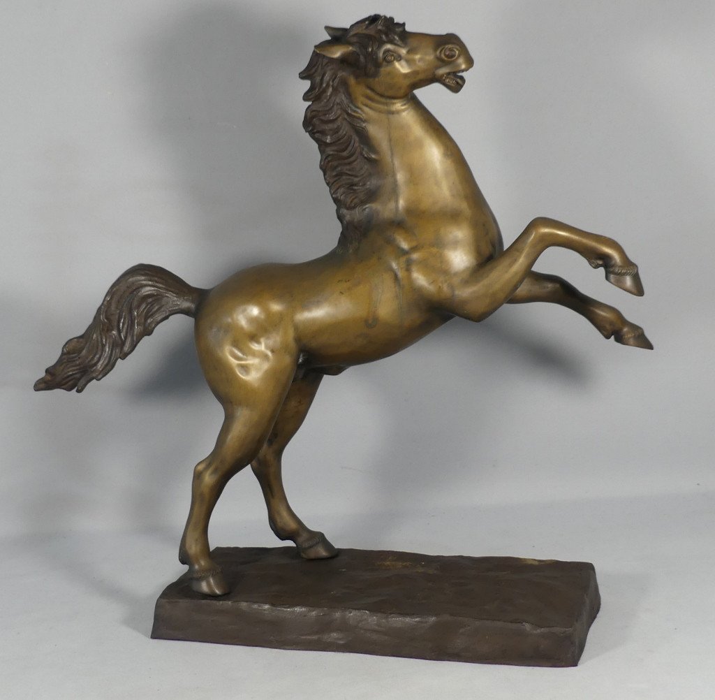 Cheval Cabré En Bronze, Sculpture Des Années 60 