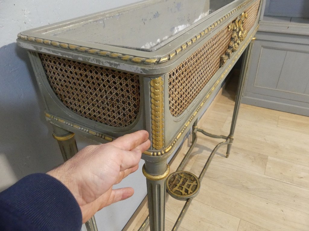 Large Louis XVI Style Console Planter In Trianon Grey And Gilded Painted Wood, 1900-photo-1