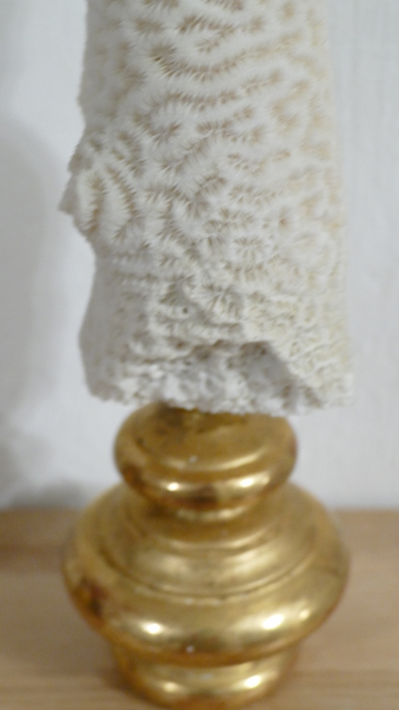 Coral On Pedestal In Golden Wood-photo-4