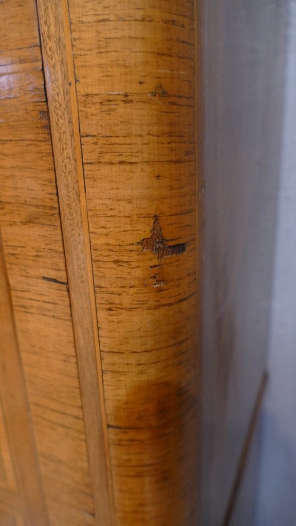 Louis XVI Living Room Storage Buffet In Mahogany And Rosewood, 1920s-photo-7