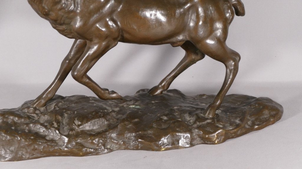 Nino De Fiésole, Animal Bronze, Deer Bramant, Animal Sculpture, Early 20th Century-photo-3