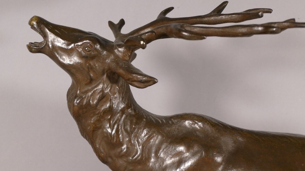 Nino De Fiésole, Animal Bronze, Deer Bramant, Animal Sculpture, Early 20th Century-photo-3