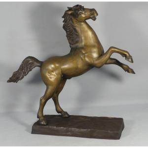 Cheval Cabré En Bronze, Sculpture Des Années 60 