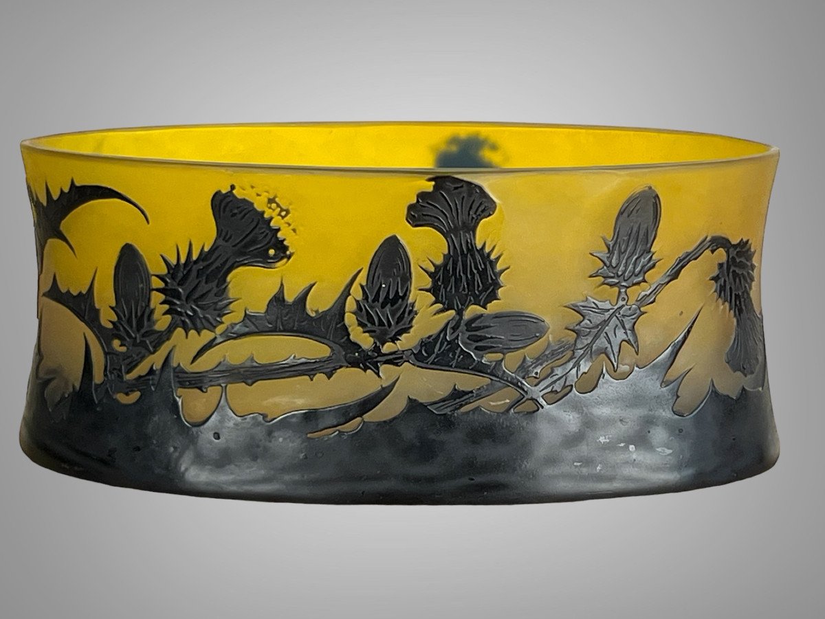 Emille Gallé (1846/1904) Navette Cup In Etched Glass With Acid Decor Thistles-photo-3