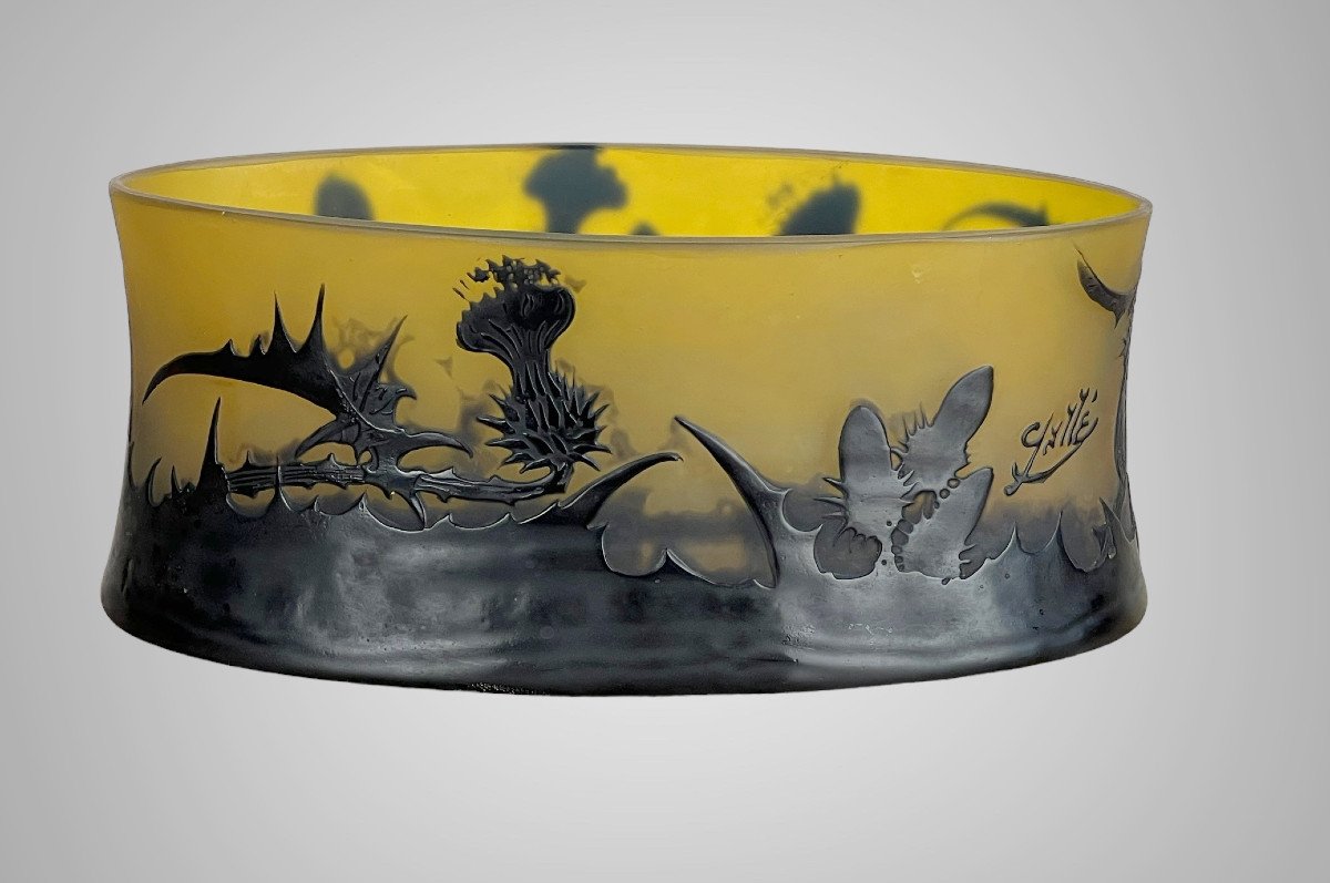 Emille Gallé (1846/1904) Navette Cup In Etched Glass With Acid Decor Thistles-photo-4