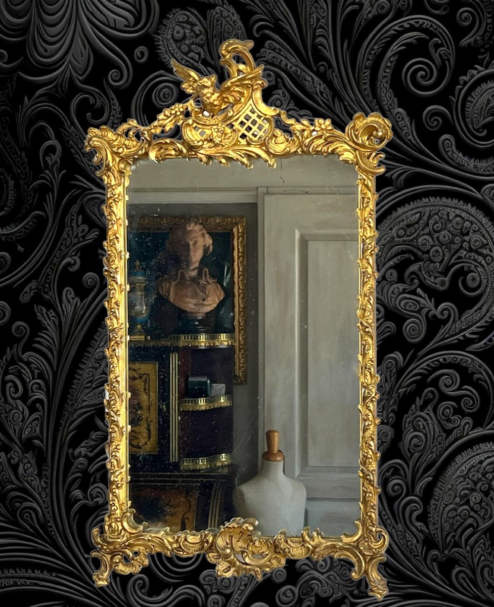 19th Century Mirror In Wood And Gilded Stucco, Louis XV Style (pediment With A Bird)
