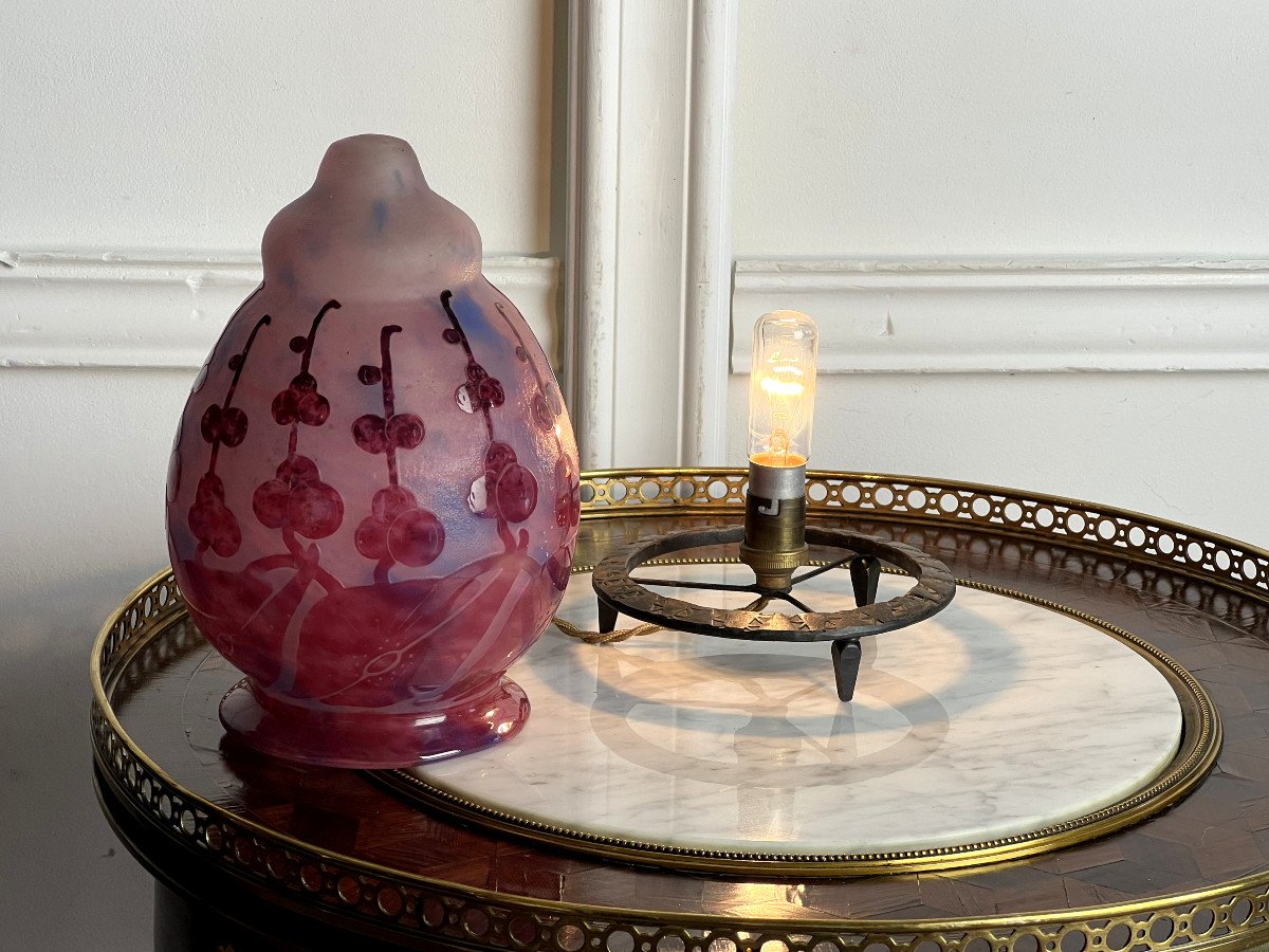 French Glass / Al Acid Etched Glass Paste Lamp With Flower Decor-photo-7