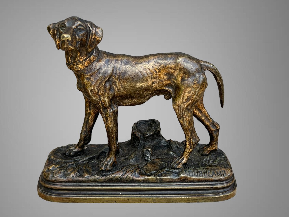 Bronze Ancien Signé "alfred Dubucand 1828-1894 " Representant Un Chien De Chasse-photo-2