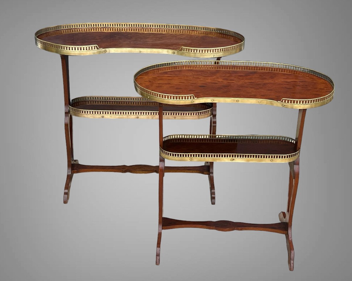 Louis XVI Style Mahogany Kidney Table After "joseph Gegenbach Dit Canabas"-photo-7