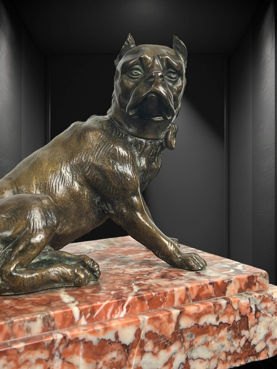 19th Century Bronze Proof Depicting A Mastiff Standing Guard With Brown Patina-photo-6