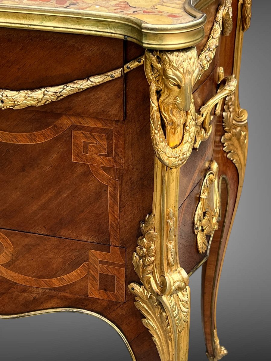 Napoleon III Living Room Furniture In Marquetry Decorated With Gilt Bronze After Sormani-photo-7