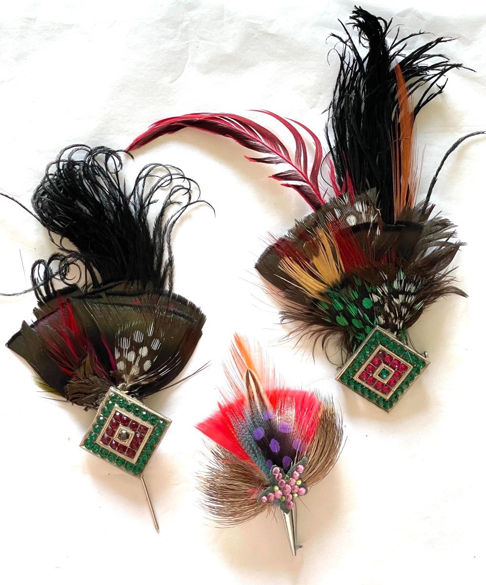 Meeting Of 3 Feather And Colored Rhinestone Brooches - XX°