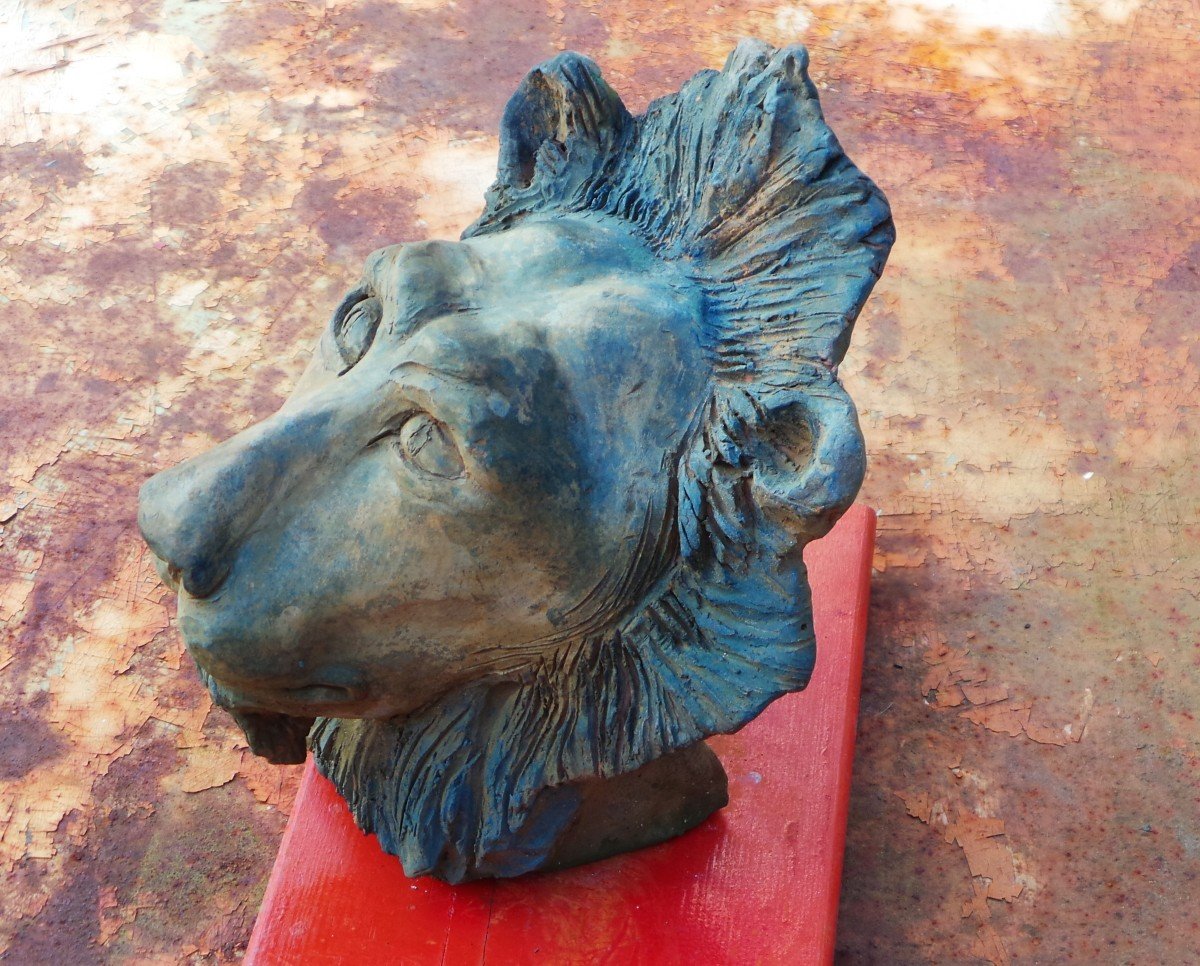 " TETE DE LION "  -TERRE CUITE PATINE BRONZE- PH.J.DARONDEAU -SCULPTEUR RETAIS-photo-3