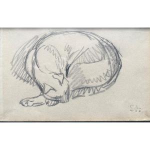 Théophile Alexandre Steinlen Original Drawing Sleeping Cat Montmartre Feline Animal 