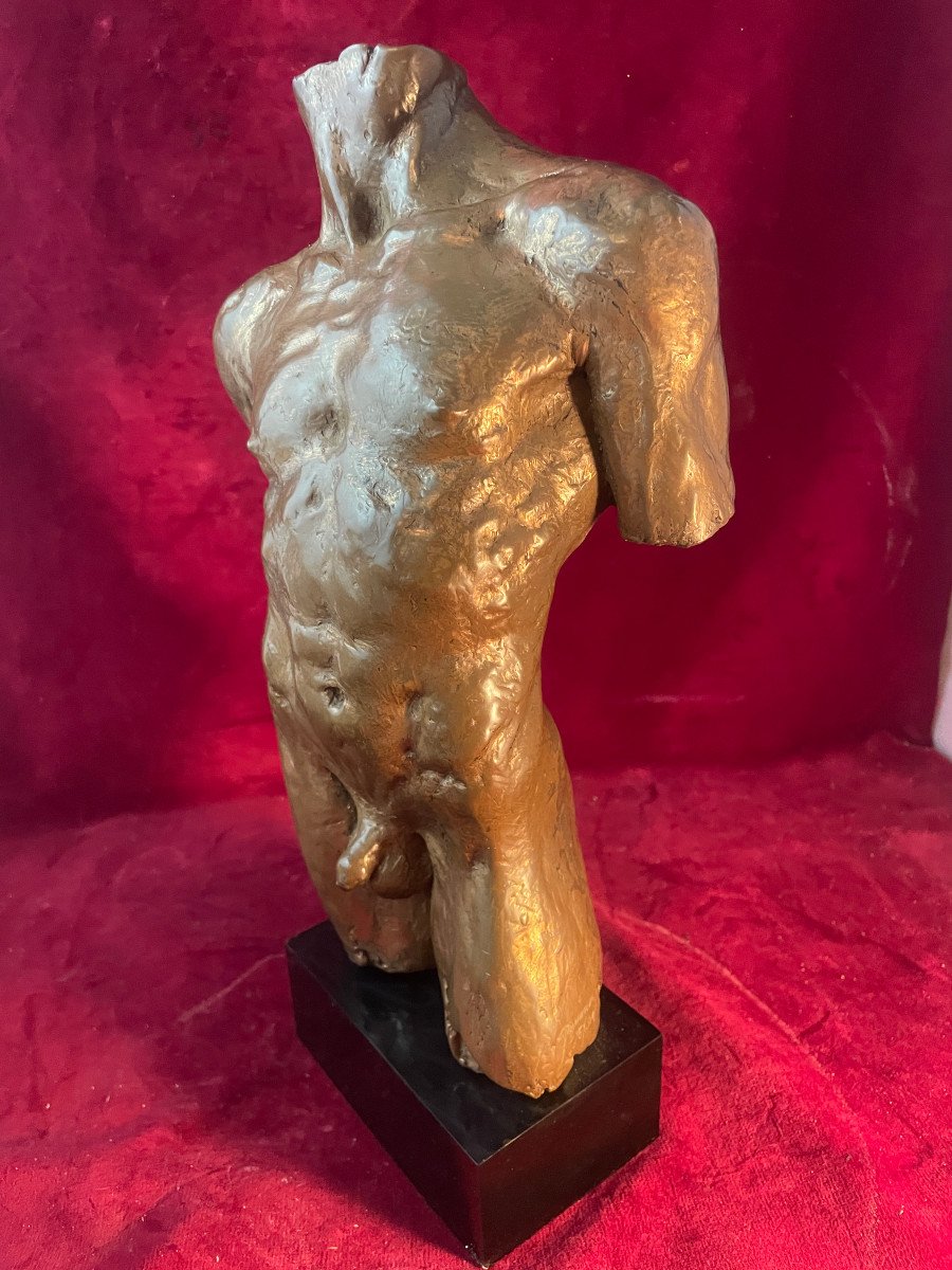 Nude Male Bust-photo-3