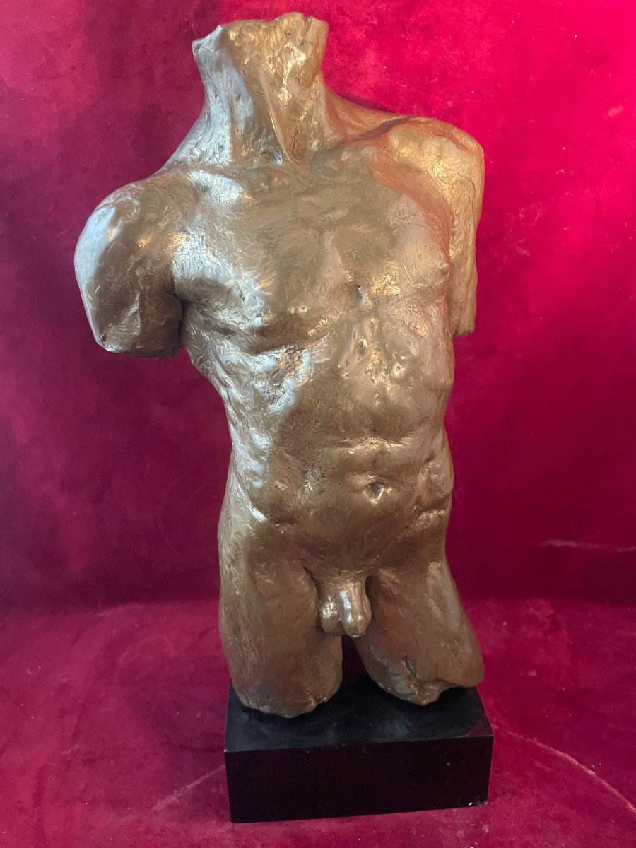 Nude Male Bust-photo-4