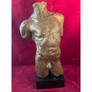 Nude Male Bust