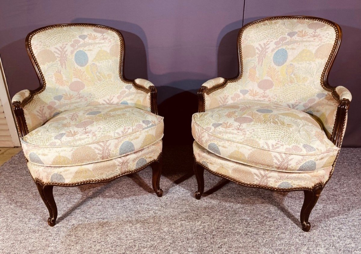 Pair Of Bergères With Cushions, 19th Century -photo-7