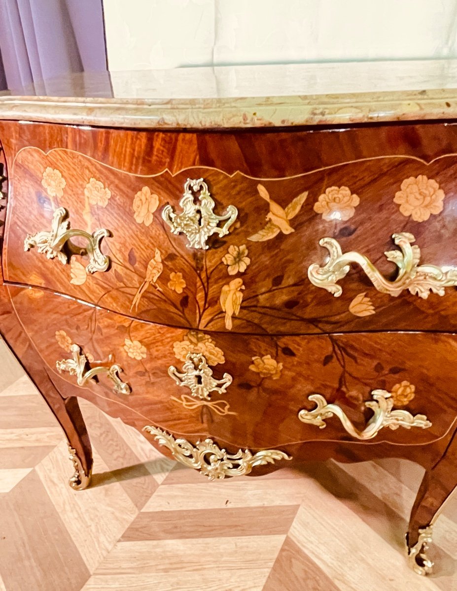 Bird Chest Of Drawers, 18th Century -photo-7