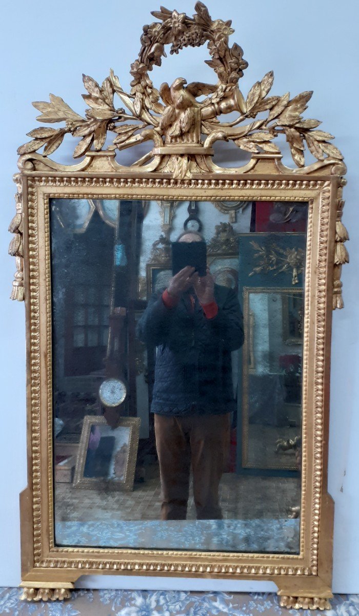 Louis XVI Period Mirror In Gilded Wood.