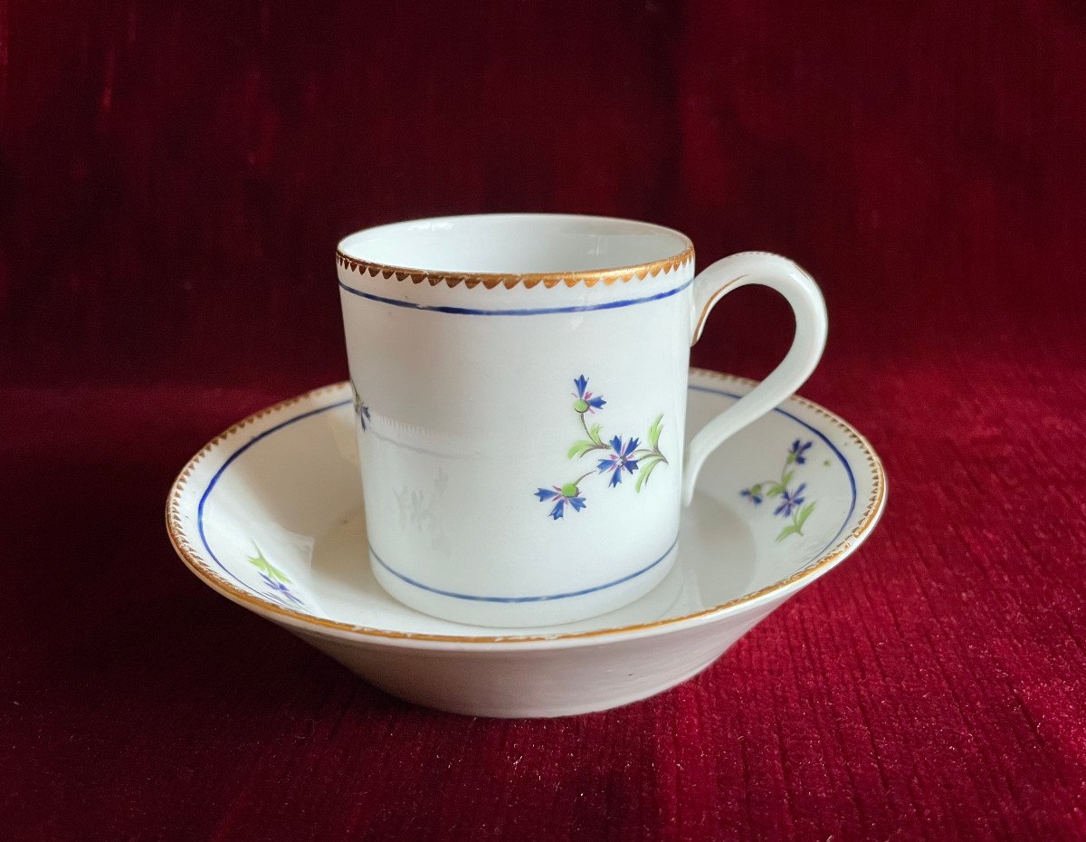 18th Porcelain Cup And Saucer Decorated With Barbel And Guilloché Golden Edges - Niderviller-photo-2