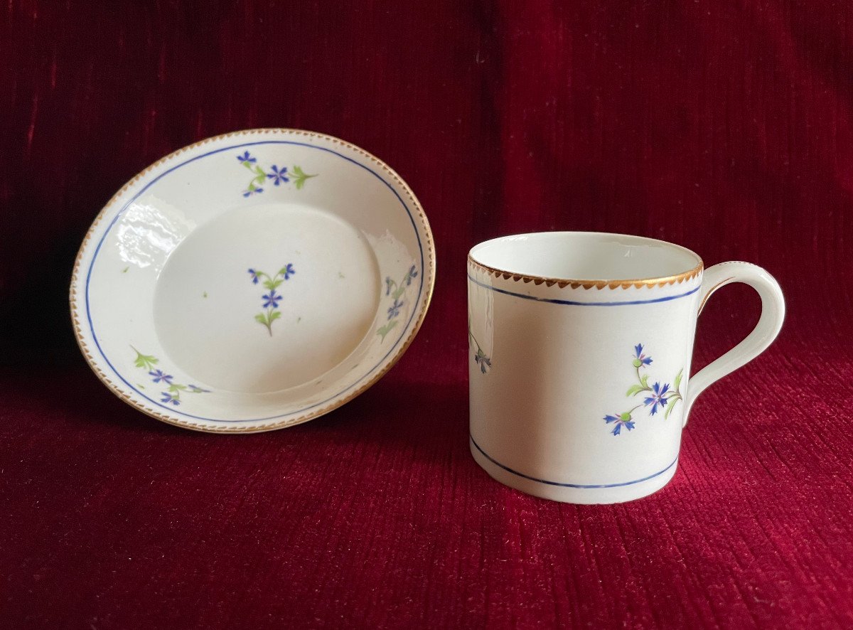 18th Porcelain Cup And Saucer Decorated With Barbel And Guilloché Golden Edges - Niderviller-photo-3