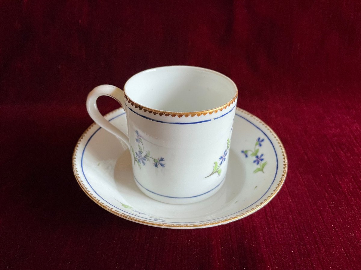 18th Porcelain Cup And Saucer Decorated With Barbel And Guilloché Golden Edges - Niderviller-photo-5