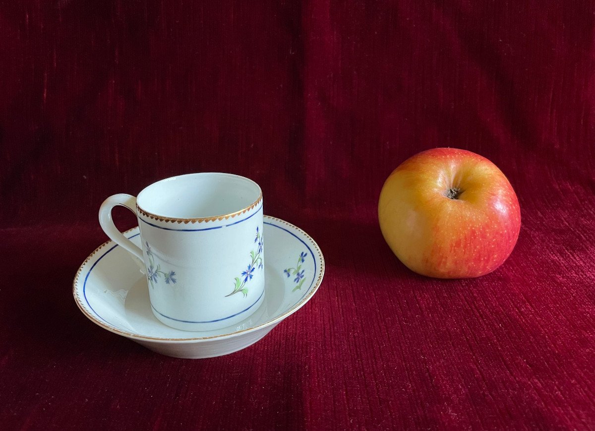 18th Porcelain Cup And Saucer Decorated With Barbel And Guilloché Golden Edges - Niderviller-photo-6