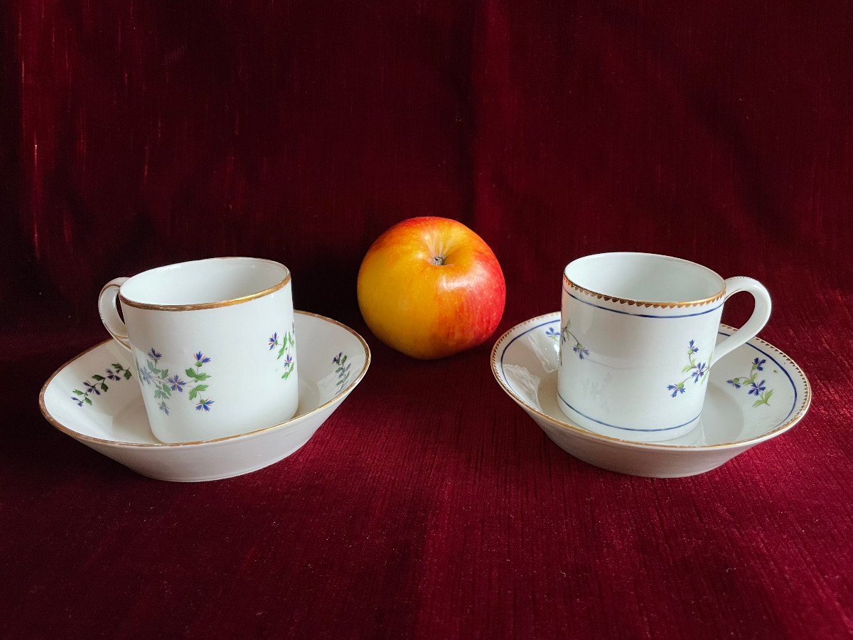 18th Porcelain Cup And Saucer Decorated With Barbel And Guilloché Golden Edges - Niderviller-photo-7