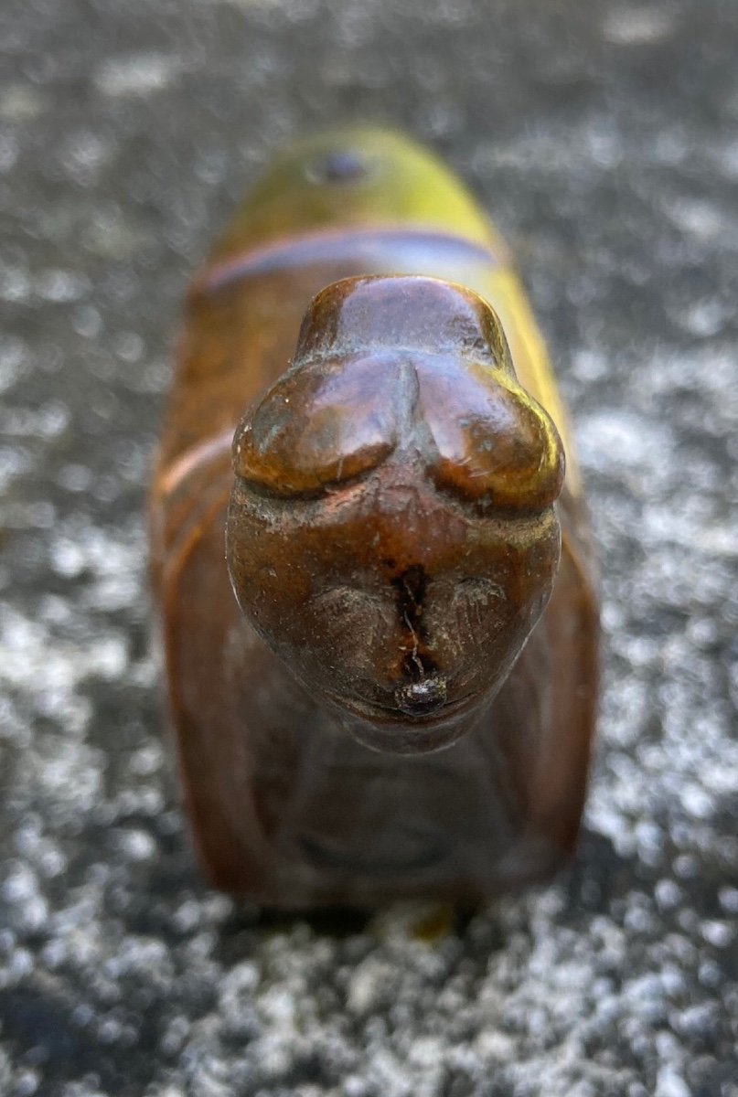 Anthropomorphic Snuff Bottle, Woman's Head, 19th Century, Fruit Wood, System-photo-2