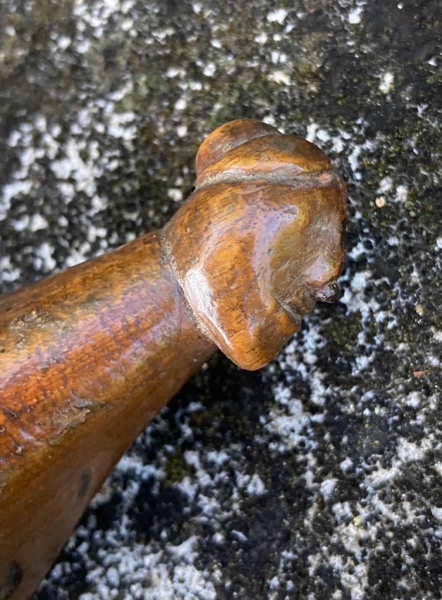 Anthropomorphic Snuff Bottle, Woman's Head, 19th Century, Fruit Wood, System-photo-8