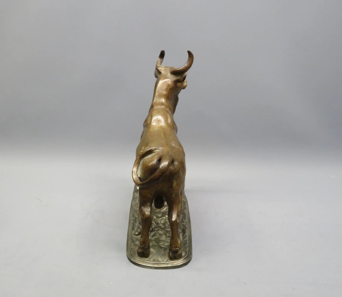 Bronze Bull With Medal Patina. Height 37cm-photo-2