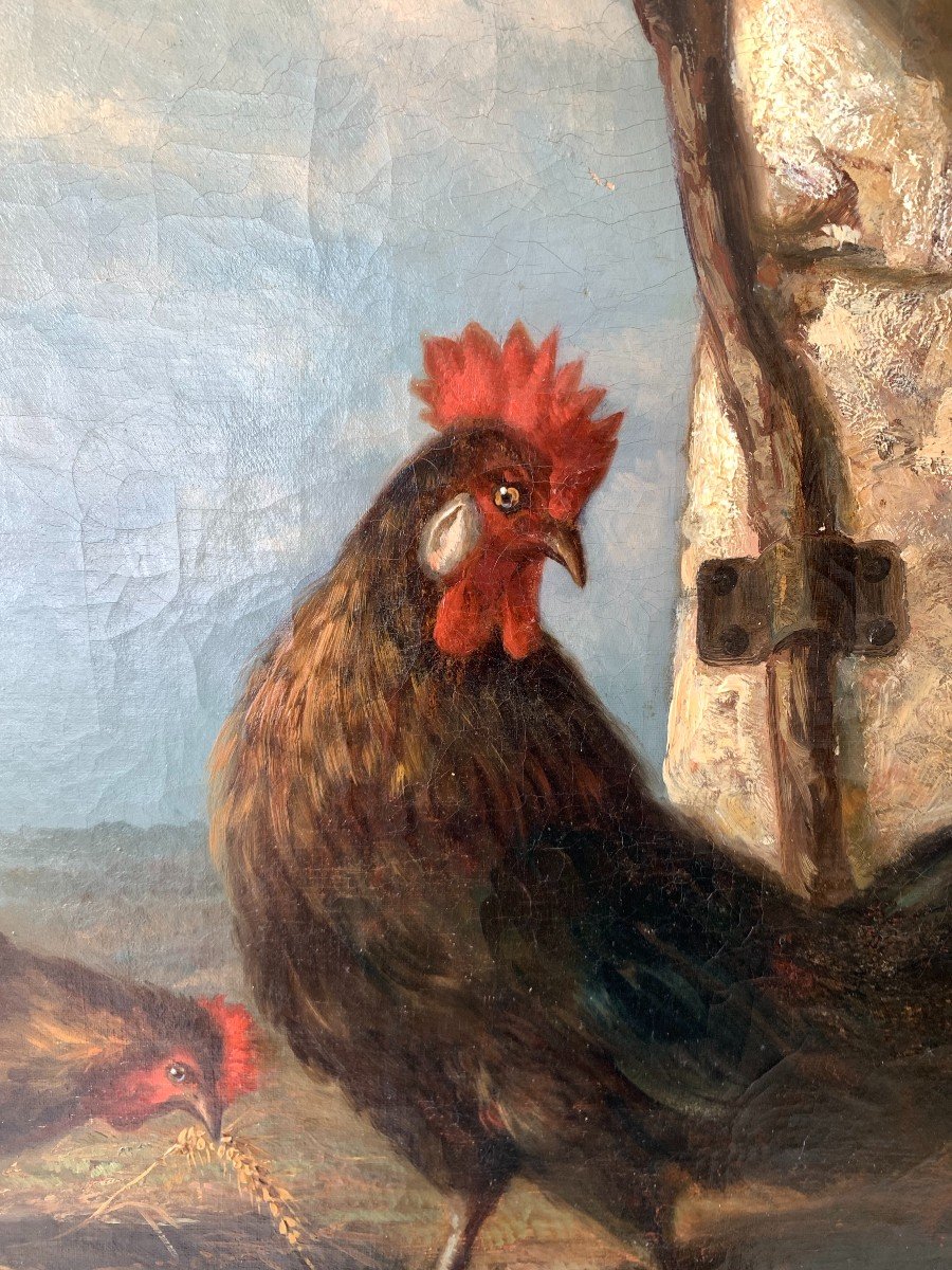 Tableau Coq et Poule 19ème Huile sur toile 80x65cm-photo-2