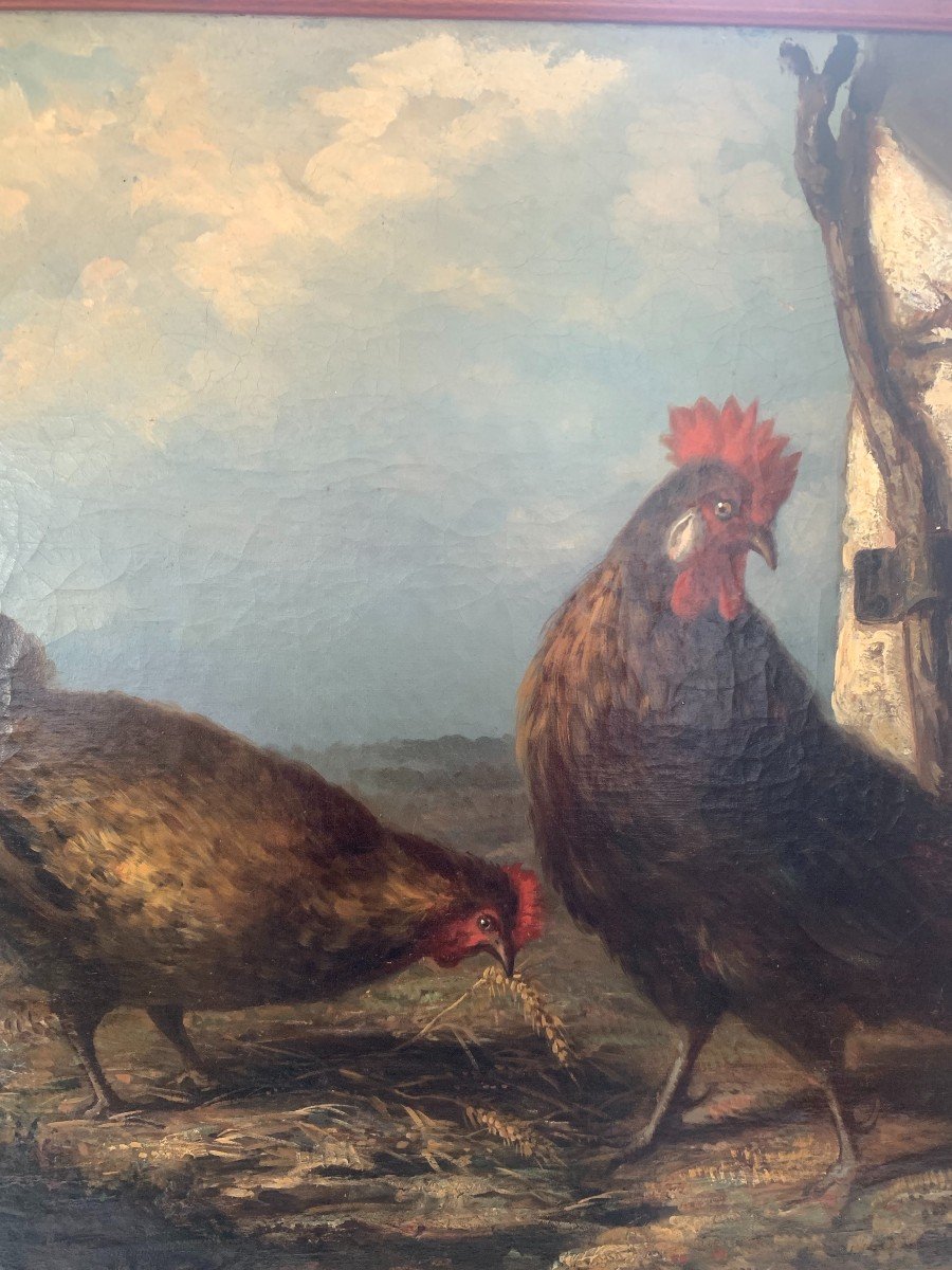 Tableau Coq et Poule 19ème Huile sur toile 80x65cm-photo-4