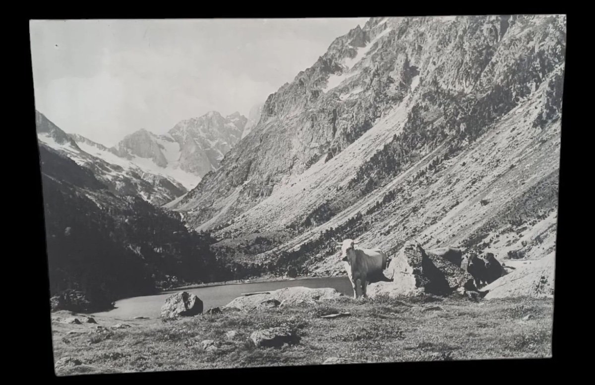 Le Lac De Gaube. XXl Photo D’un Paysage Pyrénéen. 175 X 120cm. Attribué à Alix