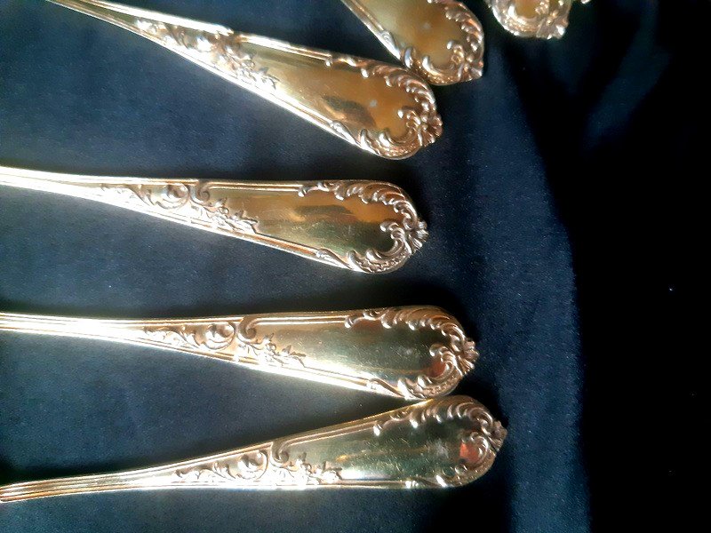 Ravinet d'Enfert Ravishing Suite Of 12 Coffee Or Tea Spoons In Vermeil Decor Naturalist Century 19th-photo-2