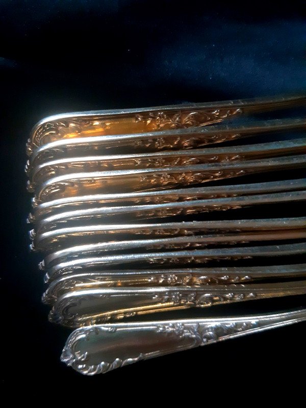 Ravinet d'Enfert Ravishing Suite Of 12 Coffee Or Tea Spoons In Vermeil Decor Naturalist Century 19th-photo-8