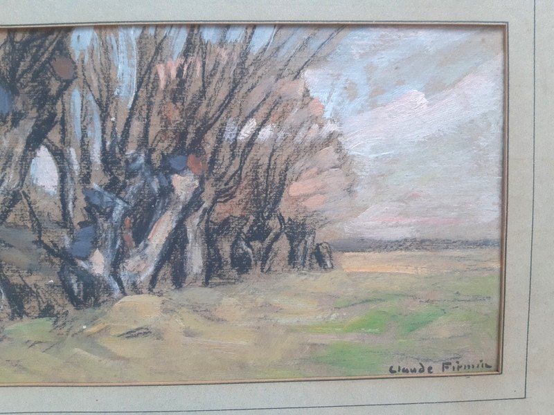 Claude Firmin (1864-1944) Dessin à La Gouache Et Au Fusain arbres Mûriers Avignon Provence-photo-4