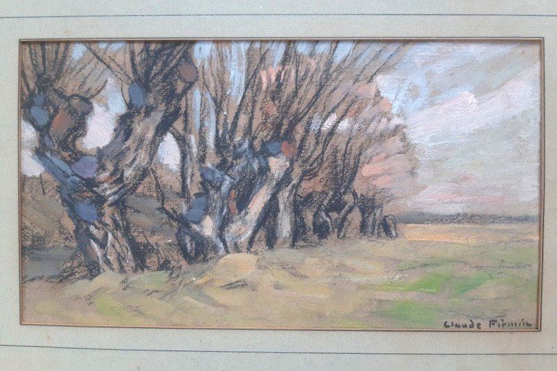 Claude Firmin (1864-1944) Dessin à La Gouache Et Au Fusain arbres Mûriers Avignon Provence
