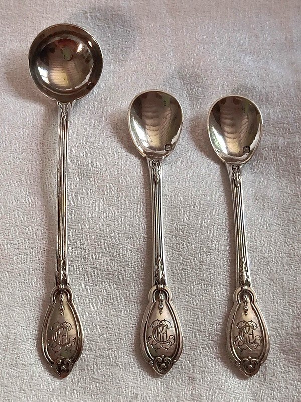 Mustard Spoon Ladle Medallion Decor In Solid Silver Louis XVI Style-photo-5