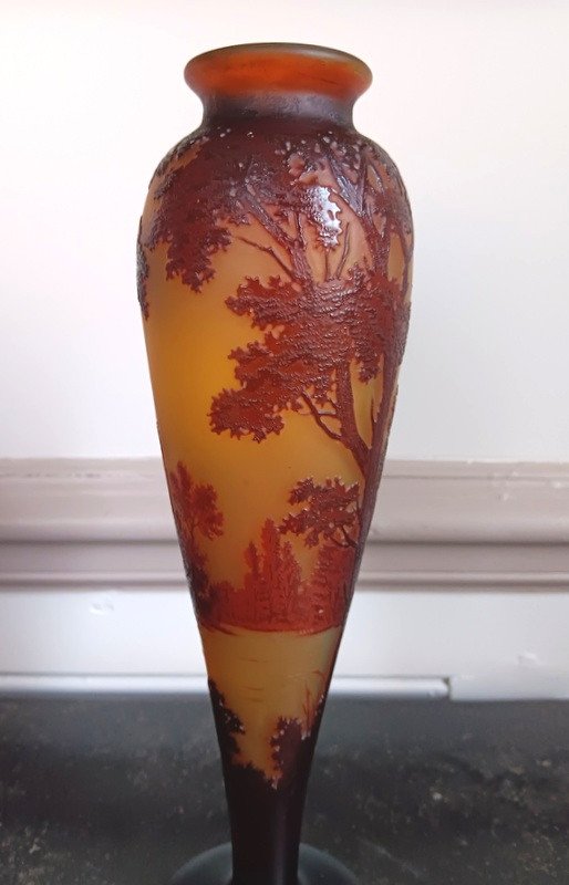 d'Argental Cristallerie Saint - Louis Vase Au Paysage Lacustre Art Nouveau -photo-1