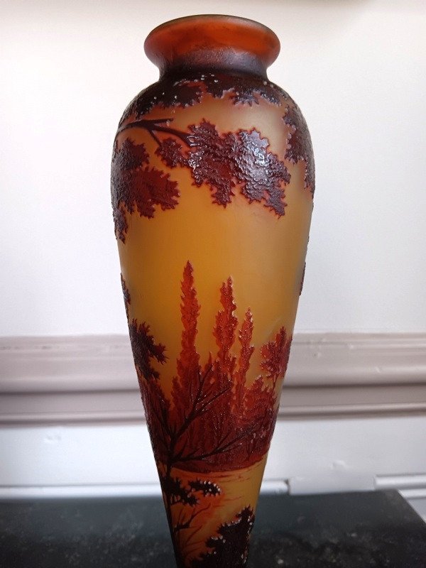 d'Argental Cristallerie Saint - Louis Vase Au Paysage Lacustre Art Nouveau -photo-3