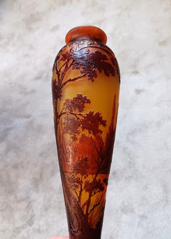 d'Argental Cristallerie Saint - Louis Vase Au Paysage Lacustre Art Nouveau -photo-7