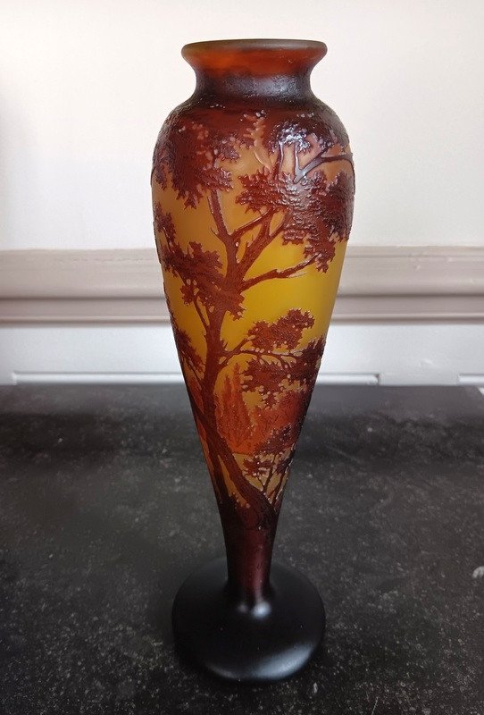 d'Argental Cristallerie Saint - Louis Vase Au Paysage Lacustre Art Nouveau 