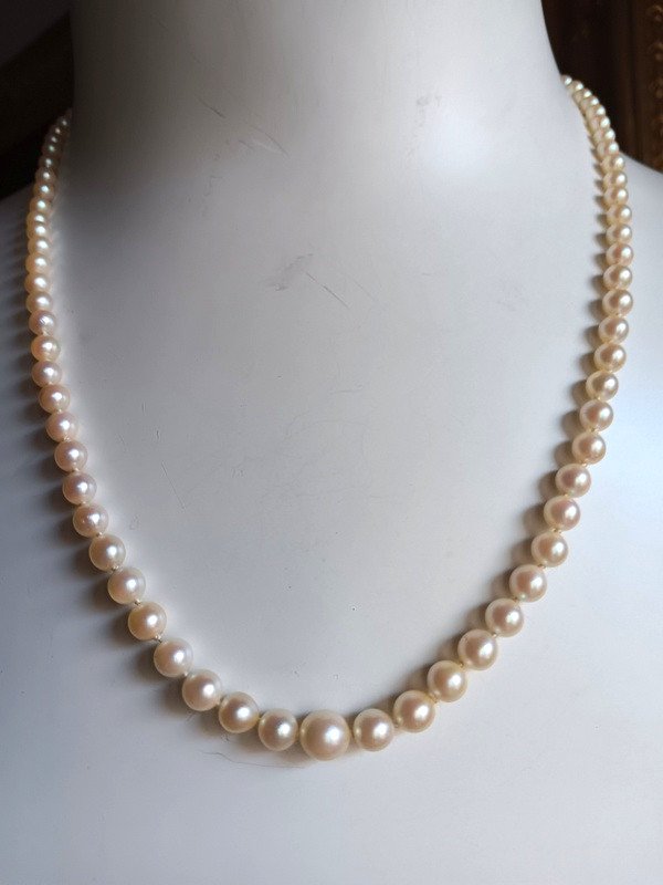 Joli Collier De 93 Perles De Culture En Chute Et Fermoir Or 18 Carats-photo-2