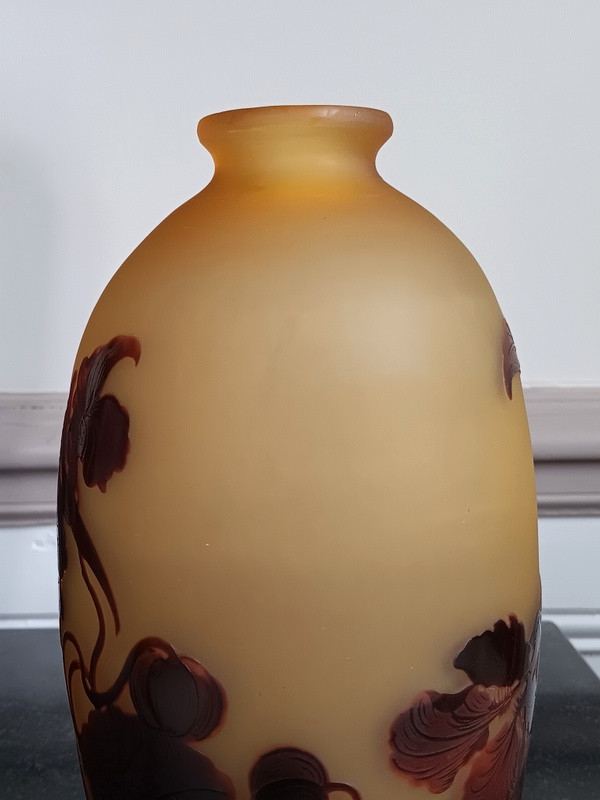 d'Argental Cristallerie Saint - Louis Vase Aux Capucines Art Nouveau -photo-1