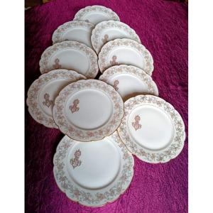 Splendid Suite Of 6 Flat Plates 24 Cm In Vierzon Limoges Art Nouveau Hache Porcelain Flowers