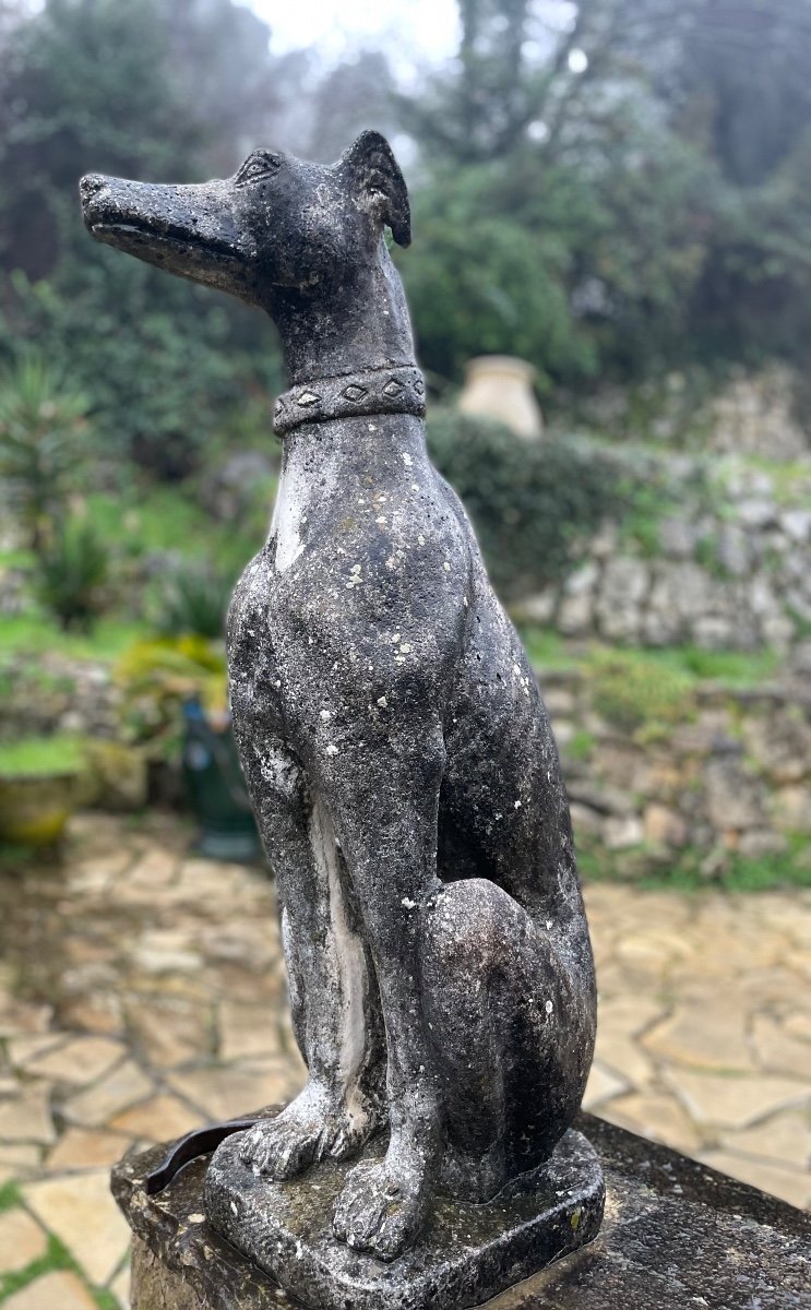 Pair Of Greyhounds In Reconstituted Stone Around 1960 20th Century Period -photo-3