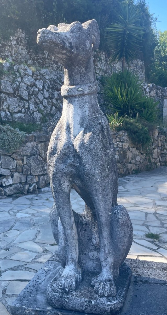 Pair Of Greyhounds In Reconstituted Stone Around 1960 20th Century Period -photo-6