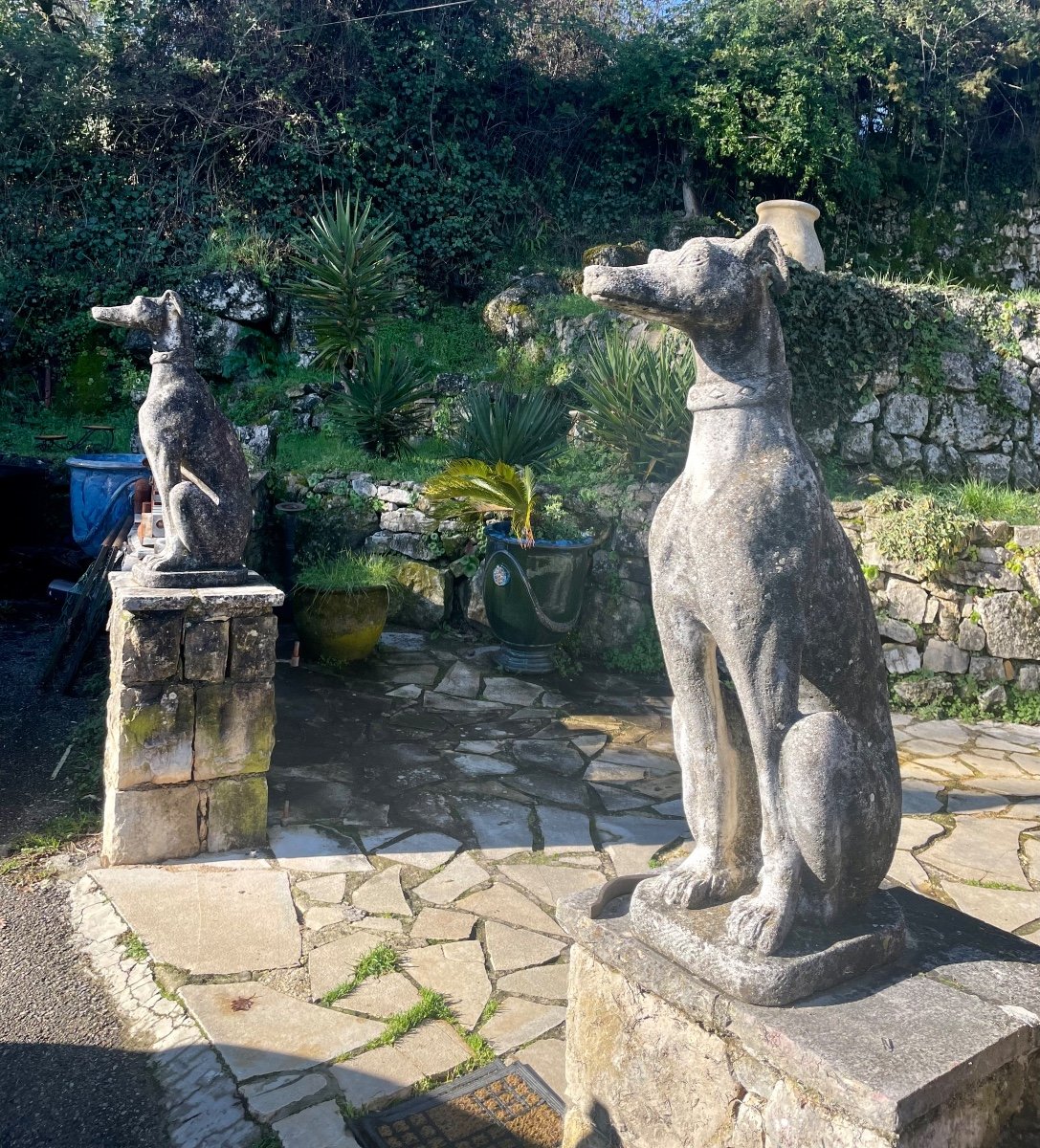 Pair Of Greyhounds In Reconstituted Stone Around 1960 20th Century Period 